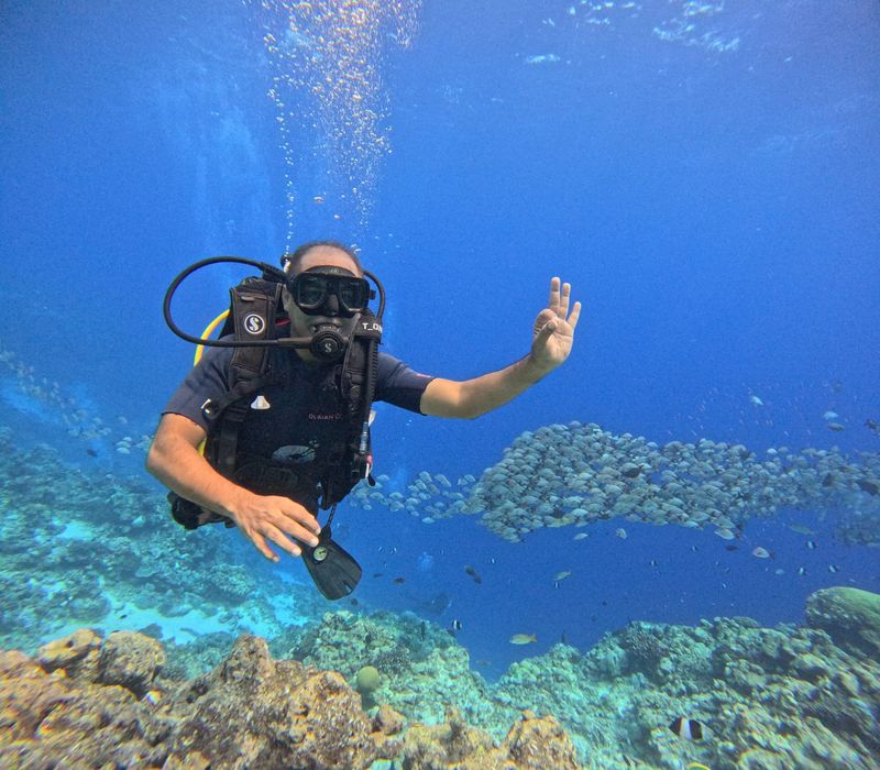 A scuba diver hovering above the reef giving the OK hand signal, a large school of fish over the coral behind