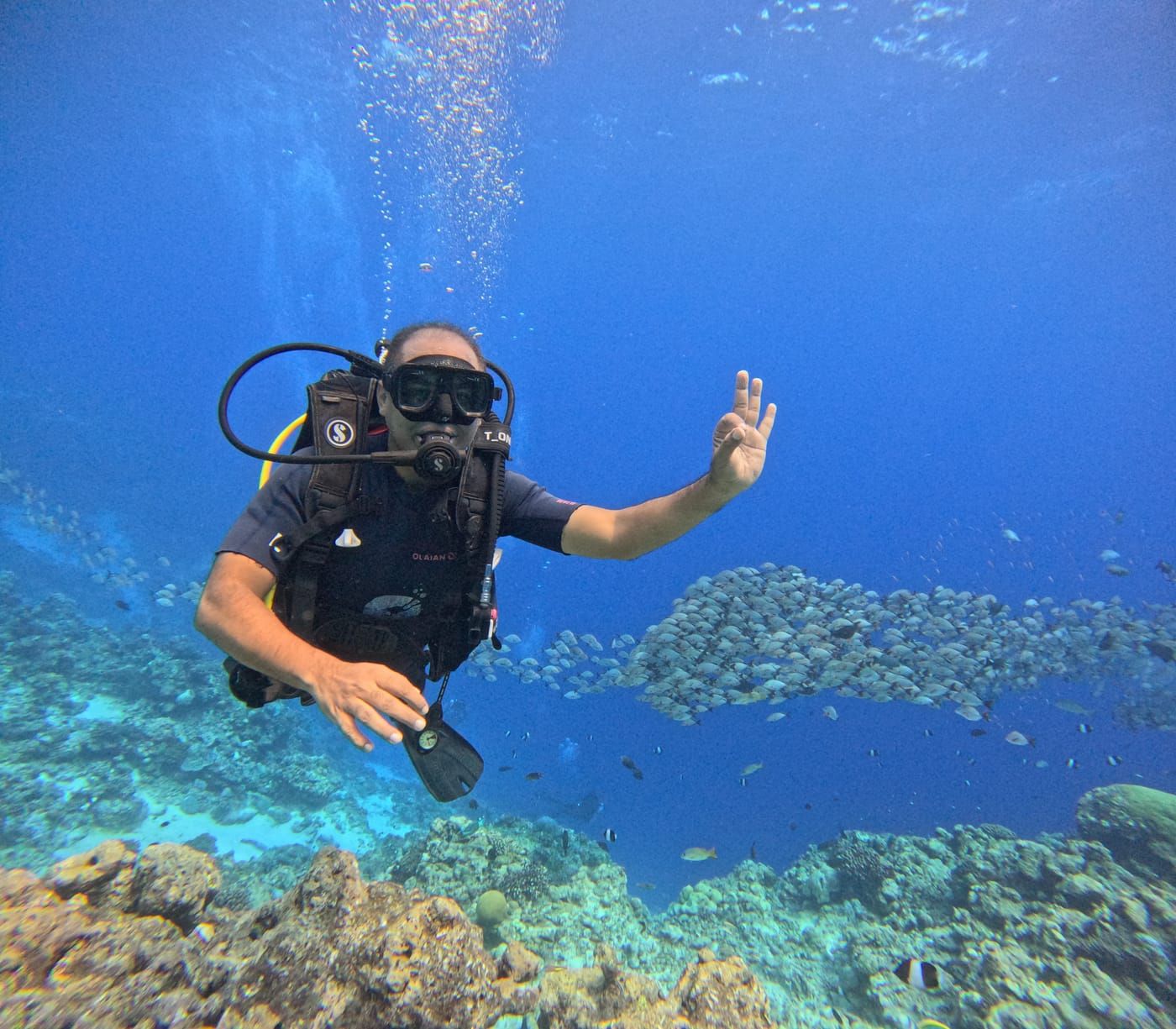 A scuba diver hovering above the reef giving the OK hand signal, a large school of fish over the coral behind